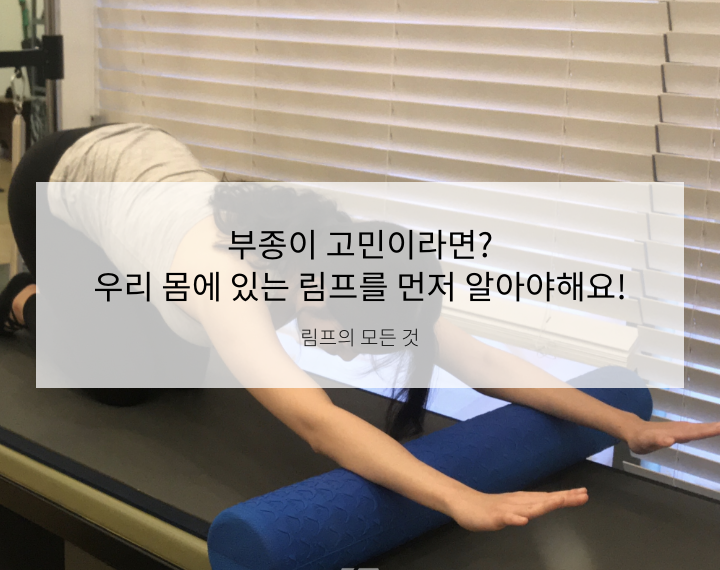 부종 때문에 고민이신 분들, 림프를 먼저 알아볼까요?