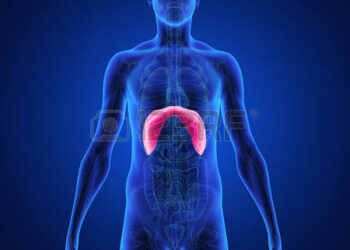 1WEEK, 1MUSCLE. 아홉번째 : 횡격막 DIAPHRAGM