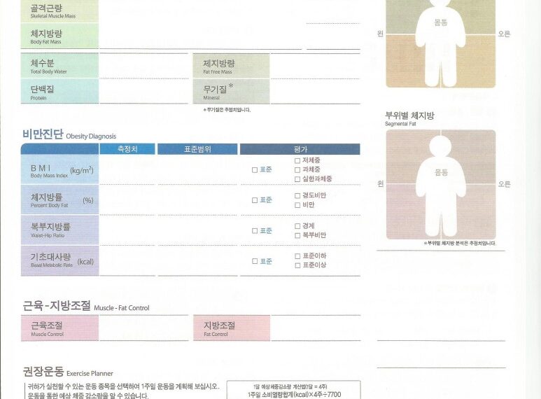 인바디 차트 해석하기