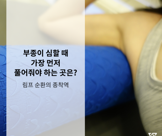 부종이 심할 때 가장 먼저 풀어줘야 하는 곳은 왜 림프일까 ?