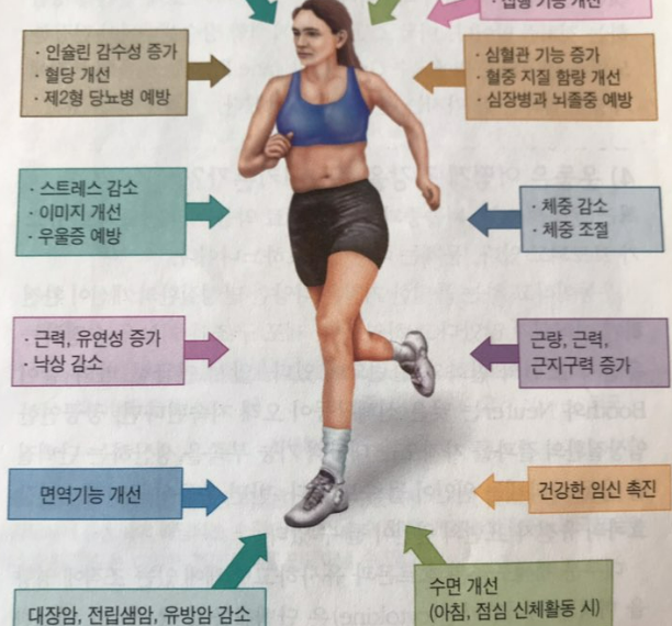 필라트리션(Pilates+Nutrition,필라테스와 영양학) 2nd : 운동과 체력, 운동은 얼마나 해야하나요?