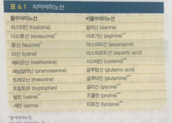 필라트리션(Pilates+Nutrition,필라테스와 영양학) 4th: 단백질에 대한 모든 것