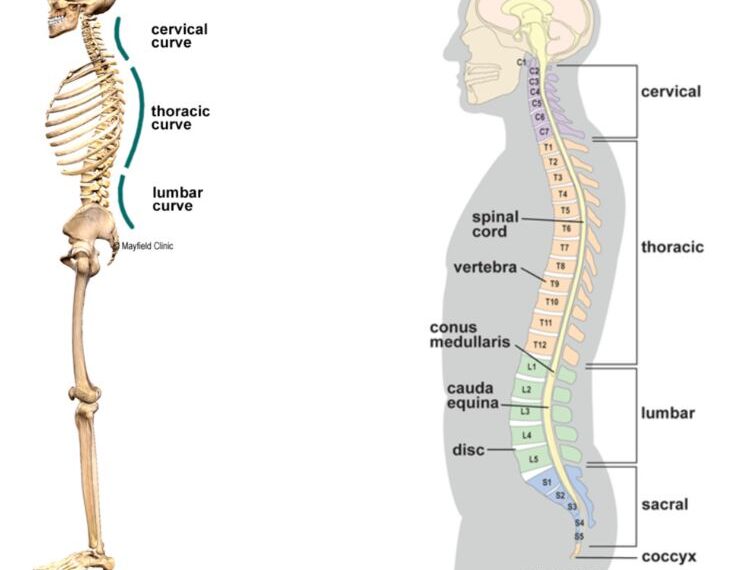올바르게 앉는 자세 가이드